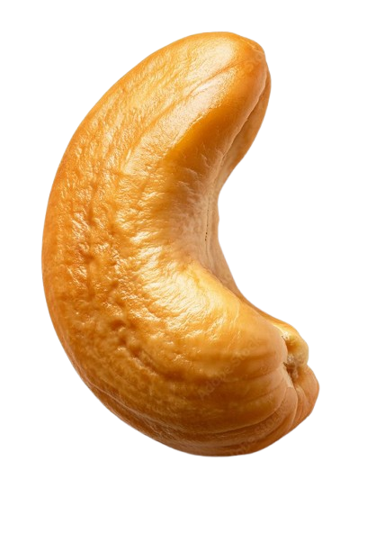 NUTZOA premium whole cashew nuts {w320} -fresh & crunchy