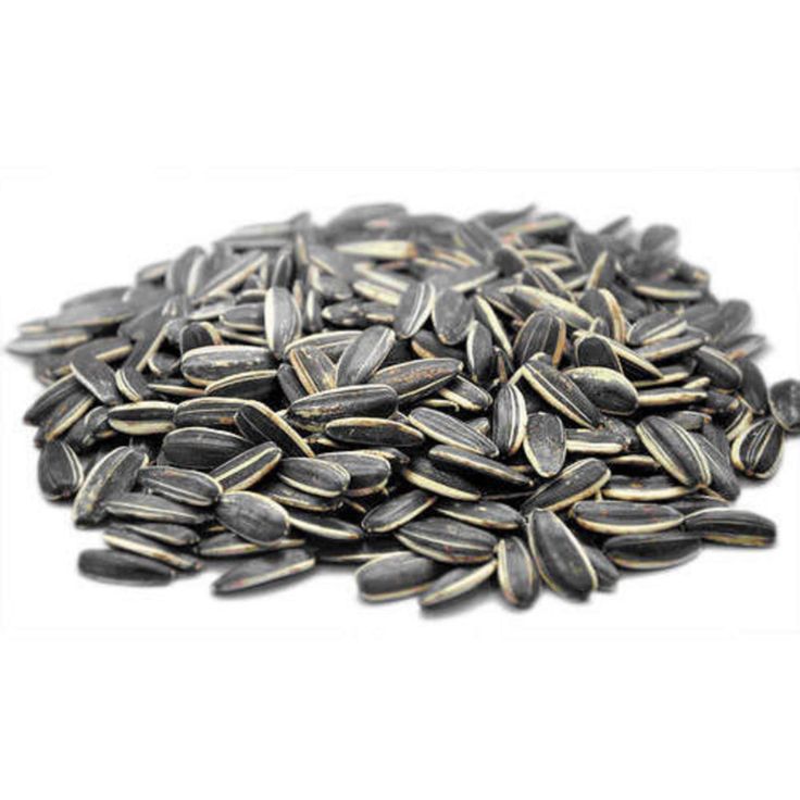 NUTZOA Premium Sunflower Seeds – Light, Crunchy & Healthy.