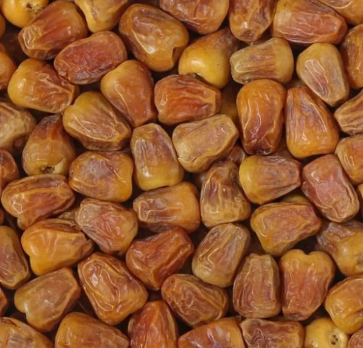 NUTZOA  Premium Sukkari  Dates {soudi}  – Authentic Saudi Arabian Sweet Dates.